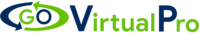 Go Virtual Pro Go Virtual Pro logo Houston Texas